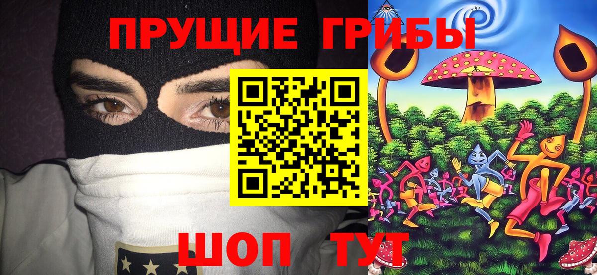 Галлюциногенные грибы мицелий  Псилоцибиновые грибы ЛСД  Вход с VPN  Протвино 