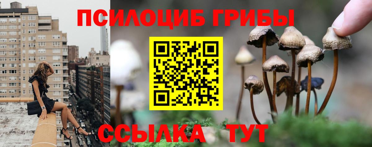 Галлюциногенные грибы ЛСД Протвино